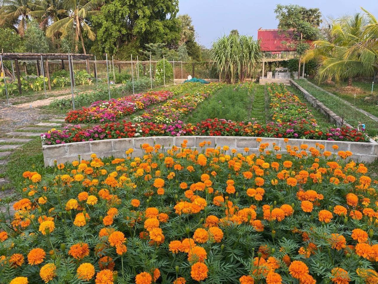 Ganesha Kampot Resort Экстерьер фото
